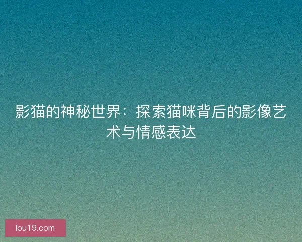 影猫的神秘世界：探索猫咪背后的影像艺术与情感表达